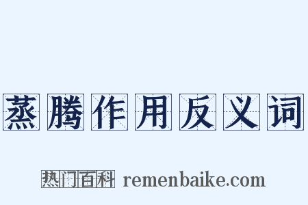 蒸腾作用反义词是什么意思的图片